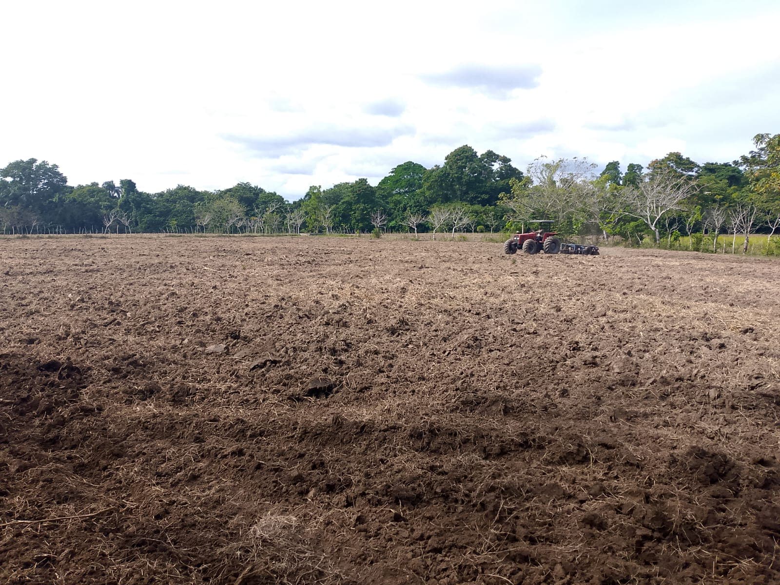 Campo recién trabajado con tractor al fondo.
