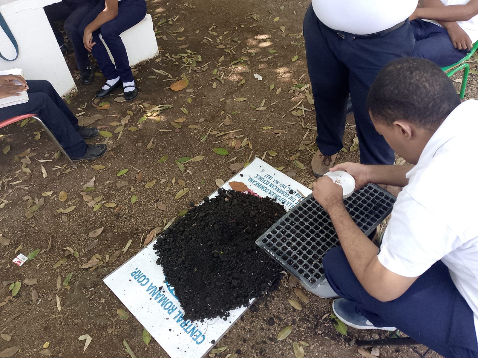 Persona llenando una bandeja de siembra durante una actividad formativa.