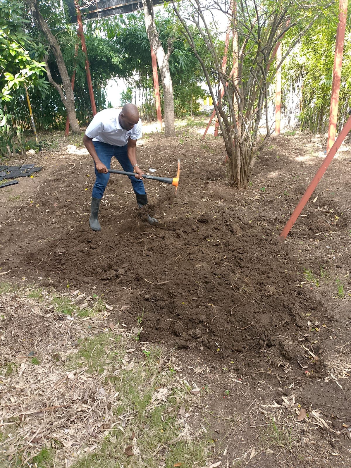 Persona trabajando la tierra con herramienta manual en una zona arbolada.
